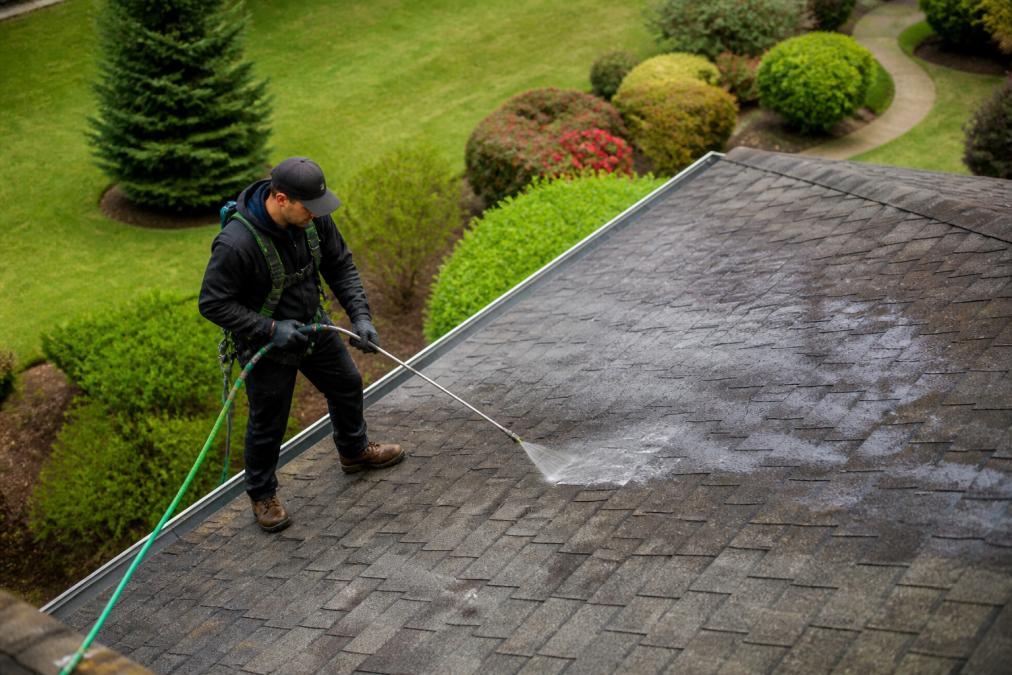 A professional technician using a low-pressure sprayer to apply a gentle cleaning solution on an asphalt shingle roof, with green landscaping visible below and a garden hose running along the edge of the roof.