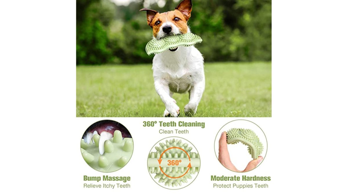 ChewPro Durable Dog Toy Ball