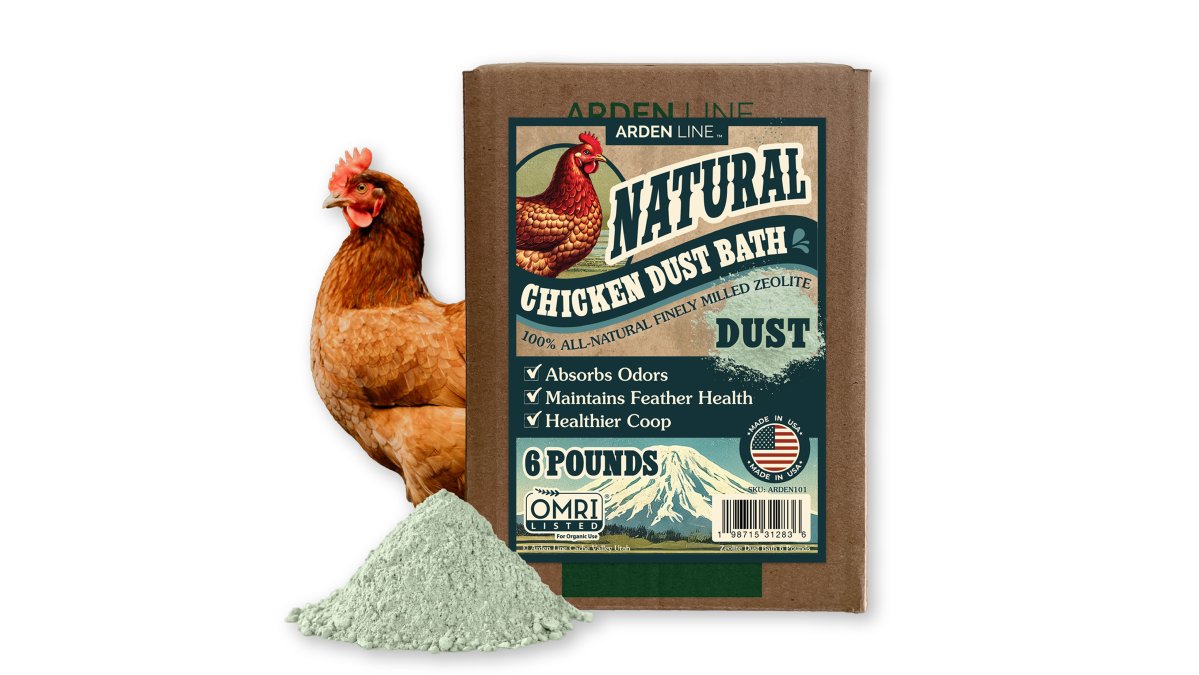 Chicken Dust Bath