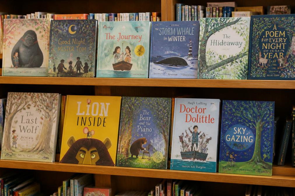 A collection of colourful children's books displayed on a wooden shelf, showing diverse illustrated covers with characters and natural scenes