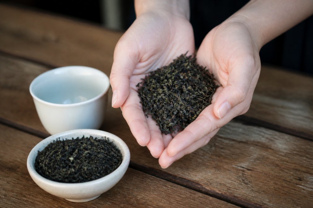 Close-up of hands holding a small pile of whole leaf loose tea over a wooden table, with a white ceramic tasting cup and a small bowl of dry tea leaves nearby in soft natural light