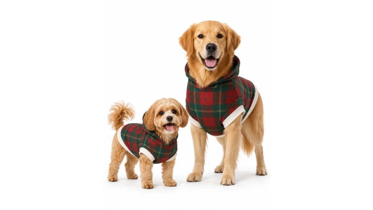A family wearing matching red plaid Christmas pajamas and onesies poses with their medium-sized dog wearing the matching Christmas Doggie Hoodie in a bright living room near a decorated tree