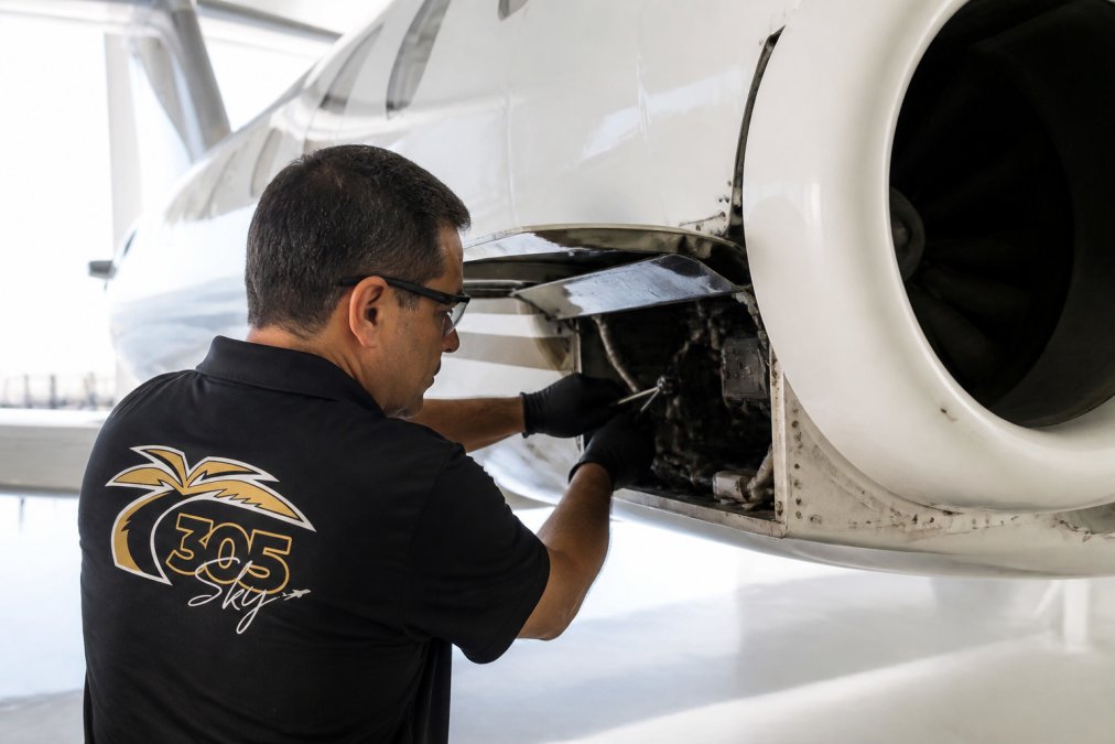Citation Maintenance Near Me: Expert Care in South Florida