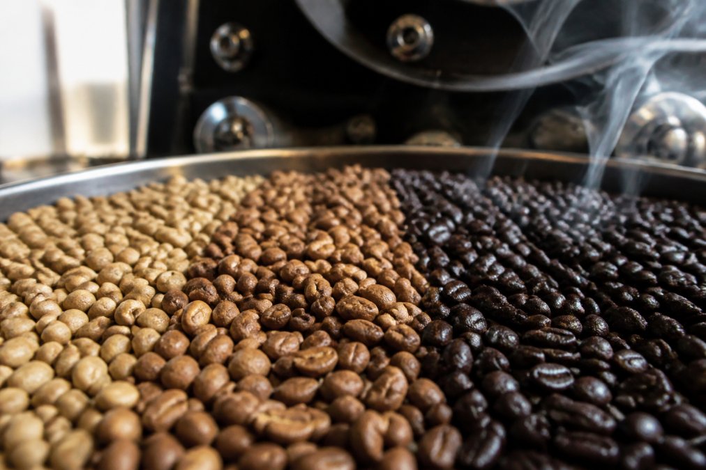 Close-up of freshly roasted coffee beans arranged in rows showing distinct color progression from light brown city roast through medium amber to dark chocolate roast, with wisps of steam rising from the darkest beans