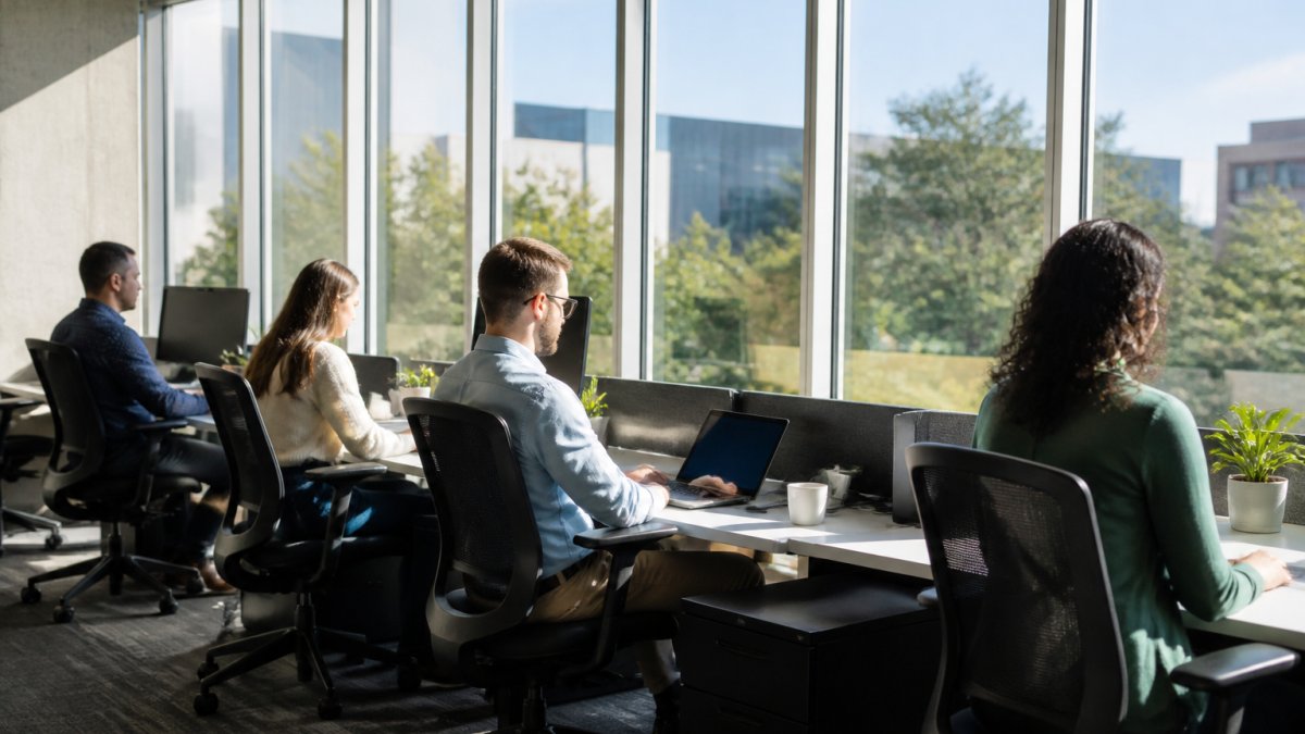 Bright modern office with employees working at desks near large clean windows, natural sunlight streaming across the workspace, team members appearing focused and engaged at their workstations