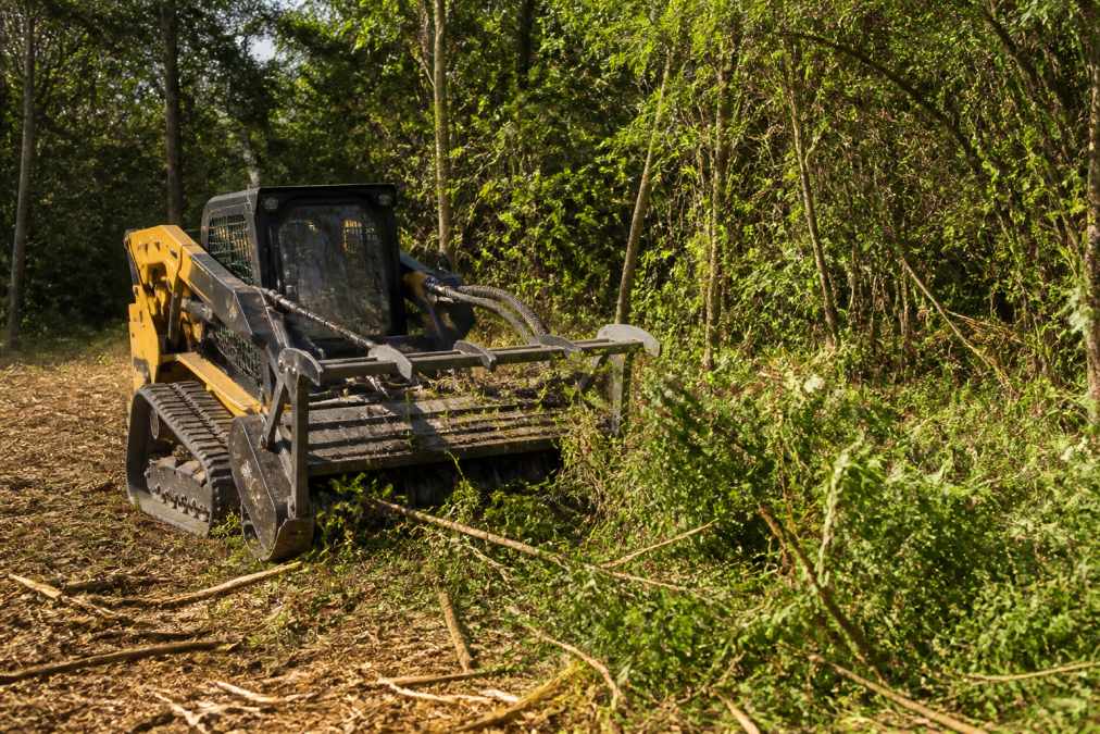 Clearing Brush for Property Visibility: A 2026 Guide