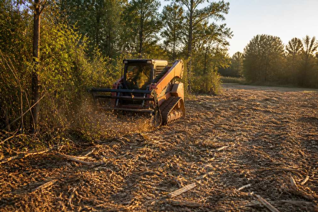 A forestry mulcher attachment on a compact track loader cutting thick underbrush on a rural property, freshly mulched ground cover in the foreground and a cleared sightline visible behind the machine, late afternoon light
