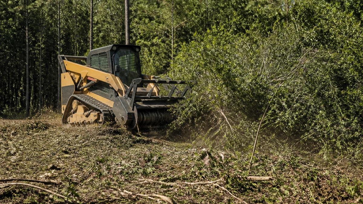Clearing Dense Brush for Small Farms: A Step-by-Step Guide