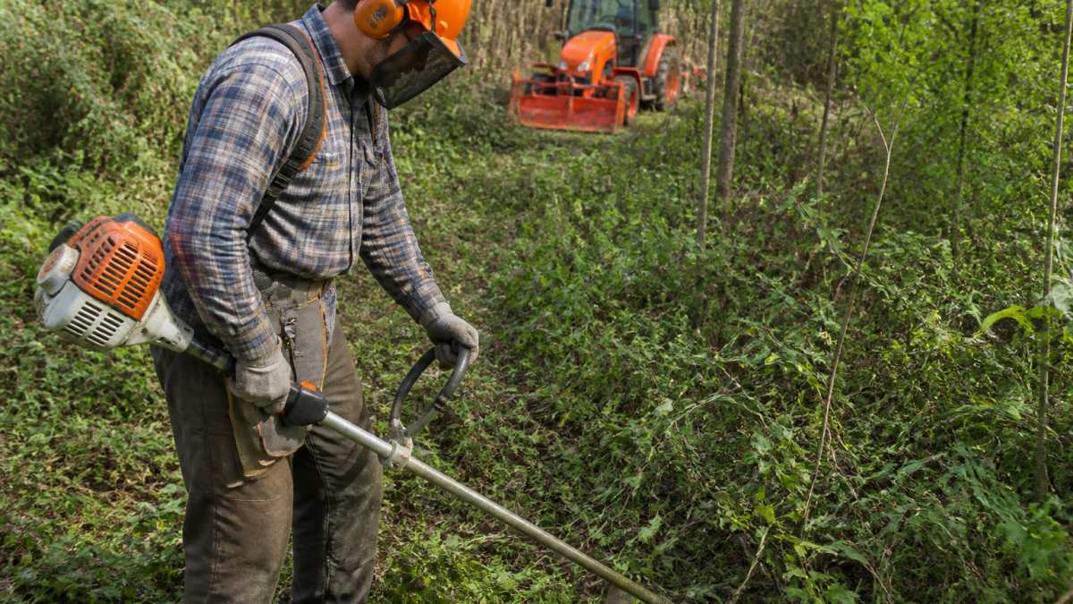 A farmer in protective gear using a brush cutter in a dense thicket of saplings and vines on a small farm, with a compact tractor visible in the background