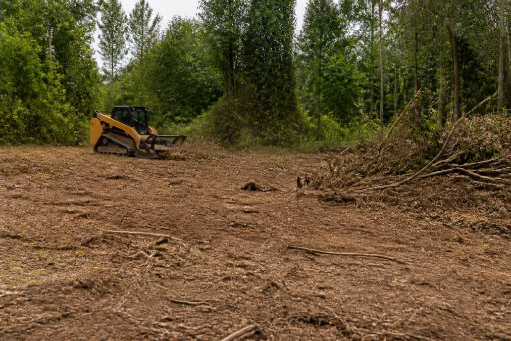Clearing Land for Food Plots: A Complete Guide