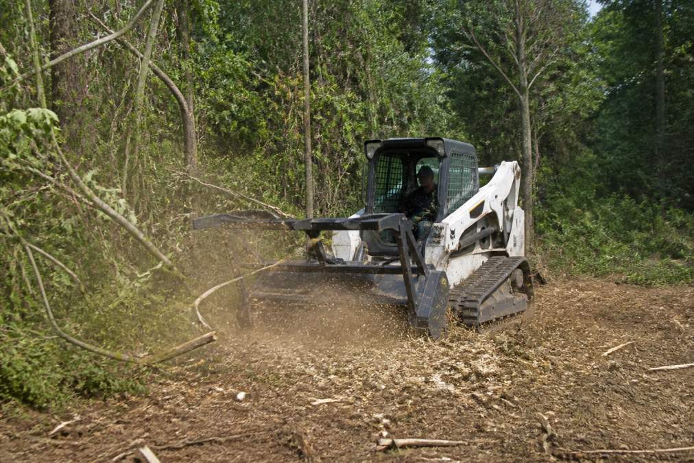 Professional operator using skid steer with forestry mulcher attachment clearing dense timber and forest canopy in wooded area, showing mature trees being processed and debris being mulched in real-time