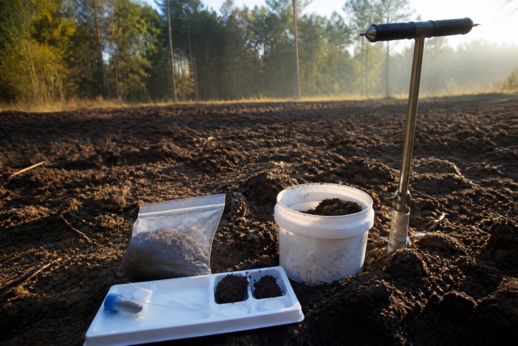 Close-up of soil samples being tested in field setting, showing prepared seedbed with cleared vegetation, loose dark soil ready for planting, and testing tools in morning sunlight