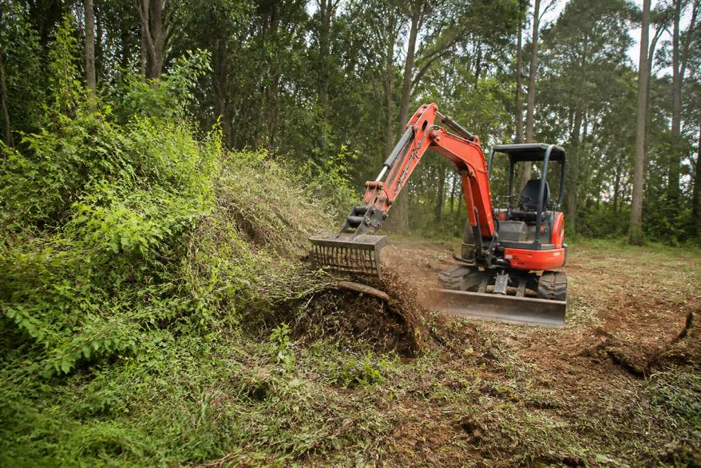 Clearing Overgrown Acreage in the Dandenong Ranges: 2026 Guide