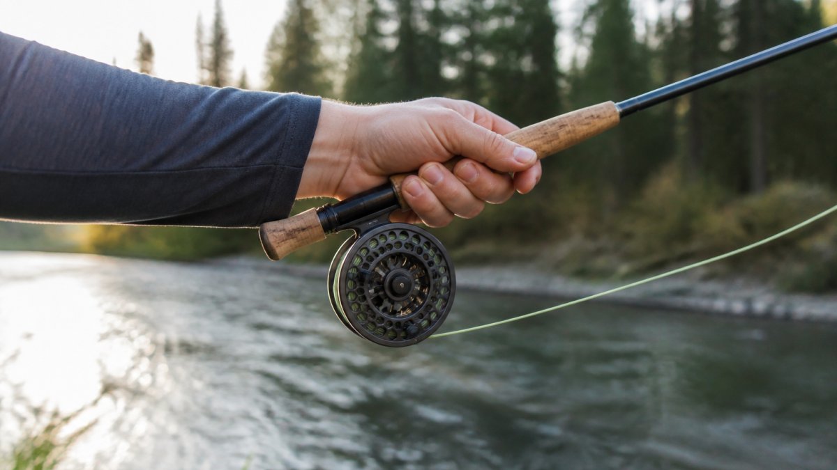 Angler gripping a fly rod with a lightweight reel during a morning cast over a river with evergreen trees