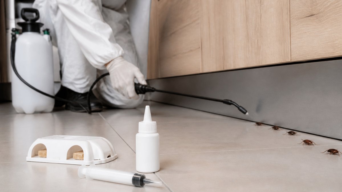 Cockroach Exterminator: Costs, Bait vs Spray, and Results