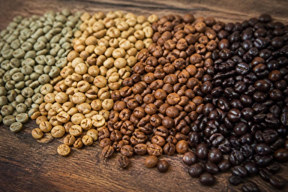 Close-up of coffee beans at different roasting stages arranged in progression, showing green beans transitioning through light tan, medium brown, and dark chocolate brown colors, with visible surface cracking and oils beginning to emerge