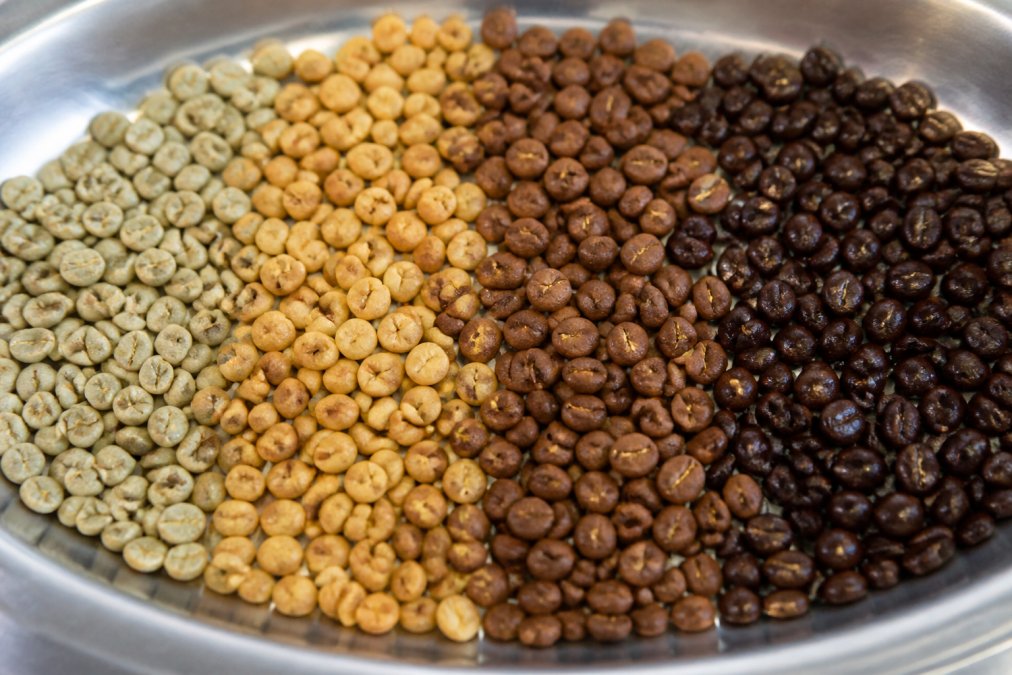 Professional illustration showing coffee roasting process