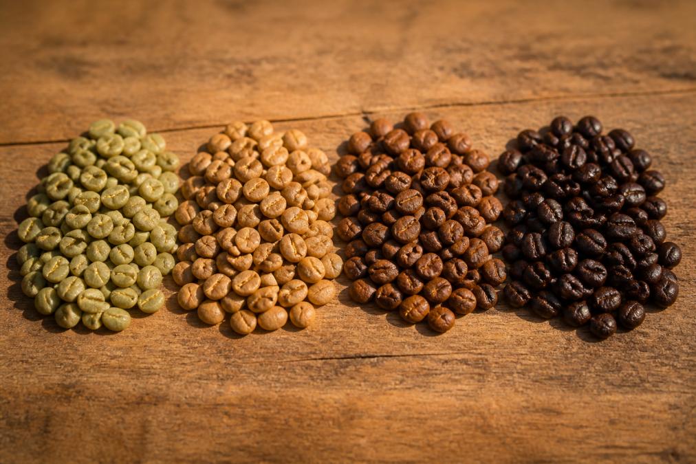 Close-up of coffee beans at different roast stages, from green to light, medium, and dark brown, arranged in progression on a wooden surface with natural morning light