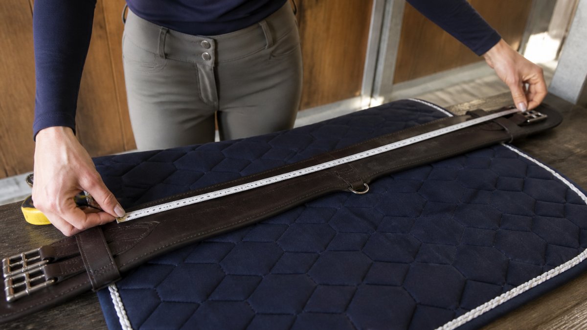 Gros plan d'un cavalier mesurant la longueur d'une sangle de selle en cuir avec un mètre ruban, sangle posée sur un tapis de selle dans une écurie lumineuse