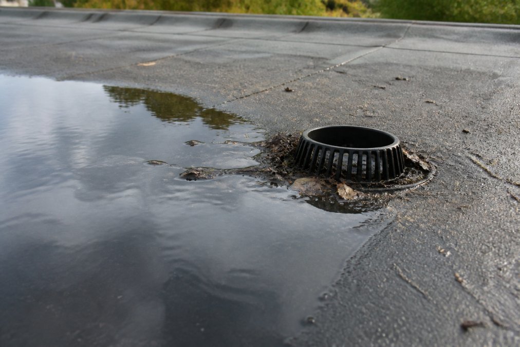 Close-up view of standing water pooling on flat roof surface with visible debris accumulation around drainage outlet, showing contrast between wet and dry roof areas