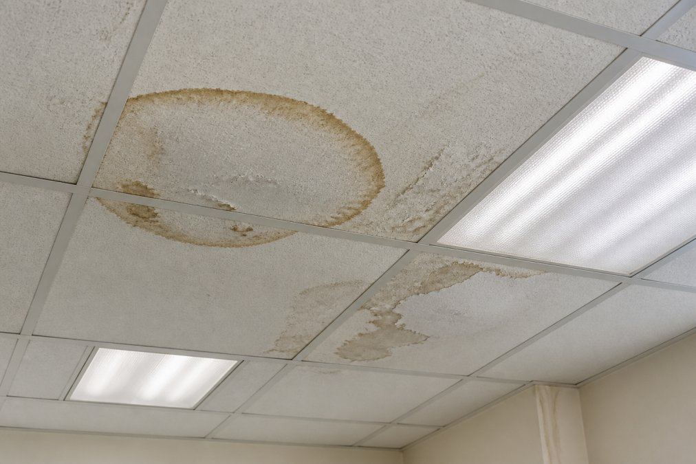 Close-up of water stains and discoloration on a commercial building's interior ceiling, showing visible moisture damage, peeling paint, and water rings on drywall under fluorescent office lighting
