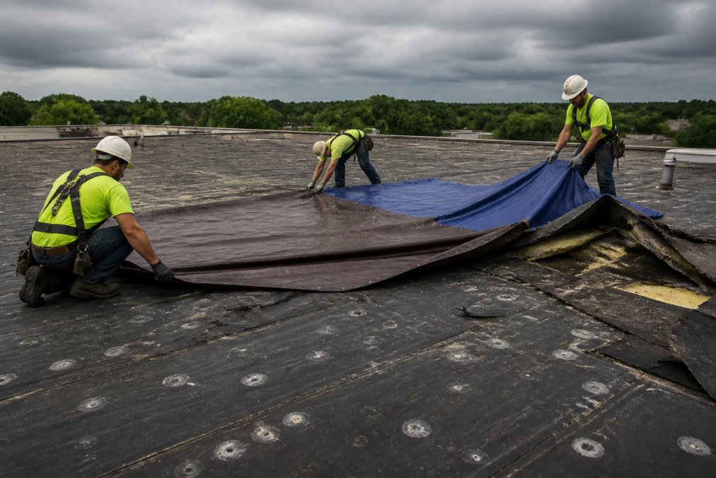 Roofing crew members in safety harnesses using tarps and temporary repairs to cover and secure a damaged flat roof section after severe storm damage, with visible hail impact marks and torn membrane