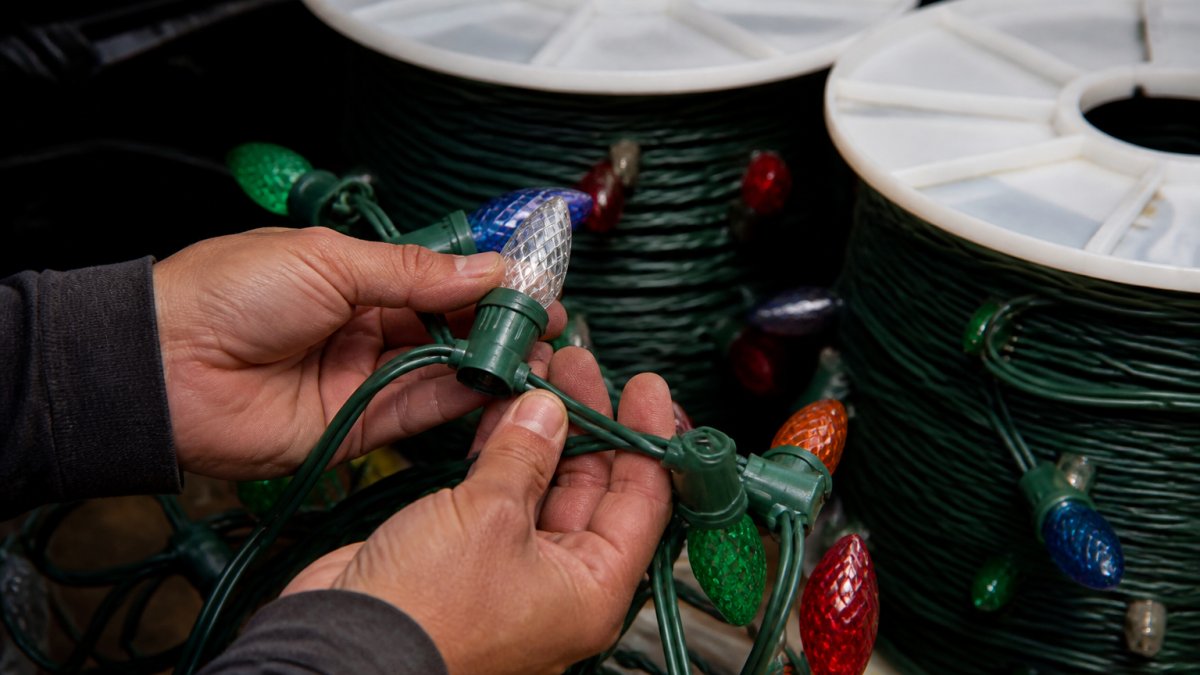 Close-up of hands holding a commercial-grade C9 light string with thick 18-gauge wire and replaceable bulbs against a dark background