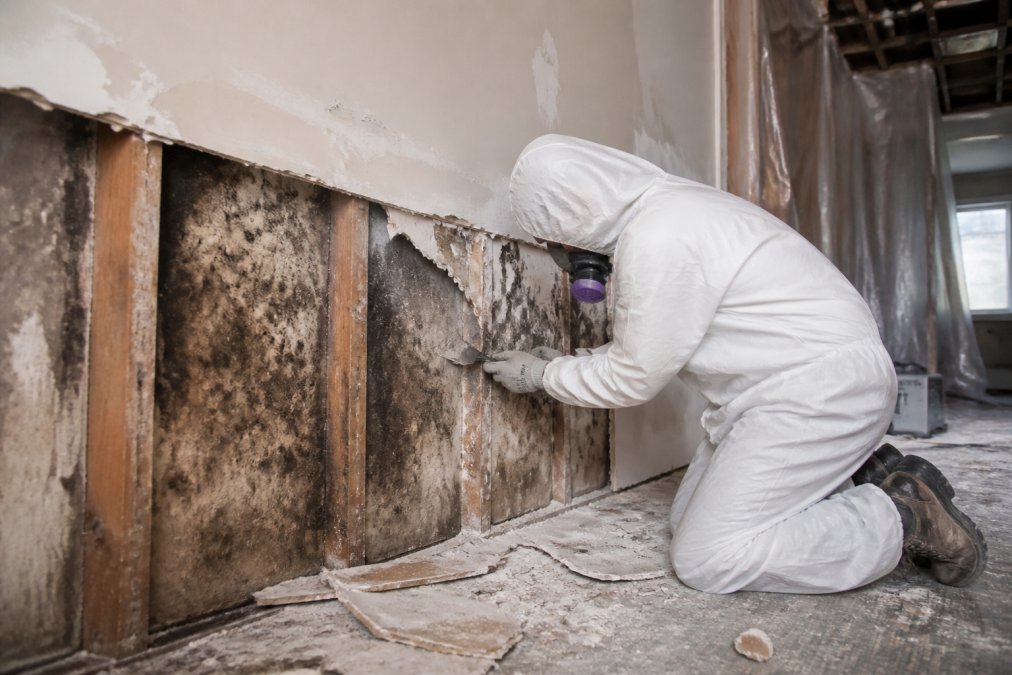 Commercial Mold Remediation Process: 2026 Guide