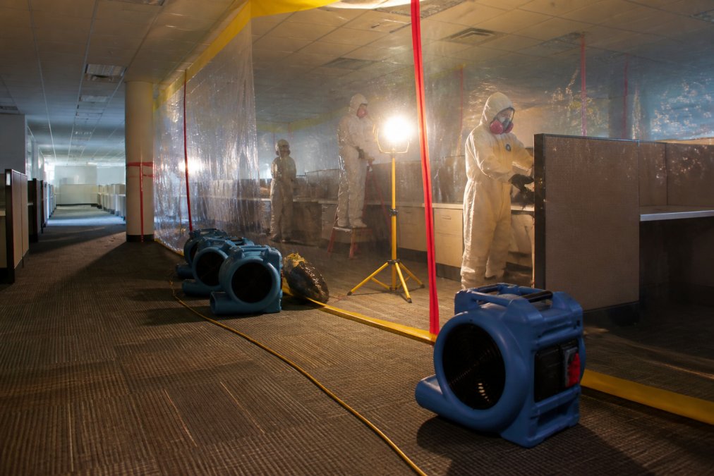 IICRC-certified technicians setting up containment for commercial mold remediation in an office space