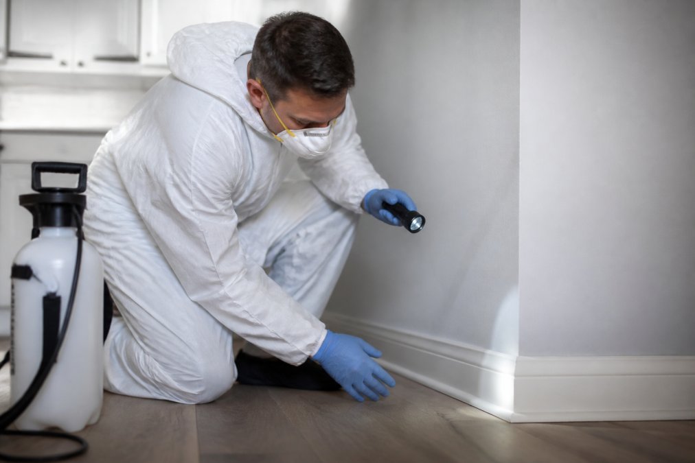 Professional pest control technician in protective gear conducting an inspection of a rental property interior, examining baseboards and corners for signs of infestation