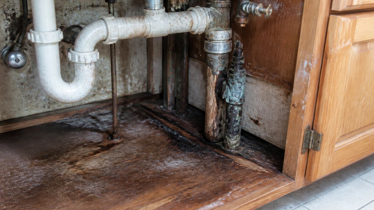 Common Plumbing Issues in Older Homes