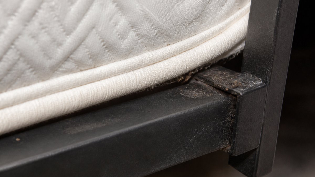 Close-up of a mattress seam with bed frame corner showing dark crevices and gaps where bed bugs hide and lay eggs