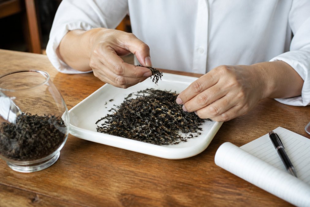 Process flowchart for tea quality control showing a buyer sorting dried leaves on a tasting tray for evaluation