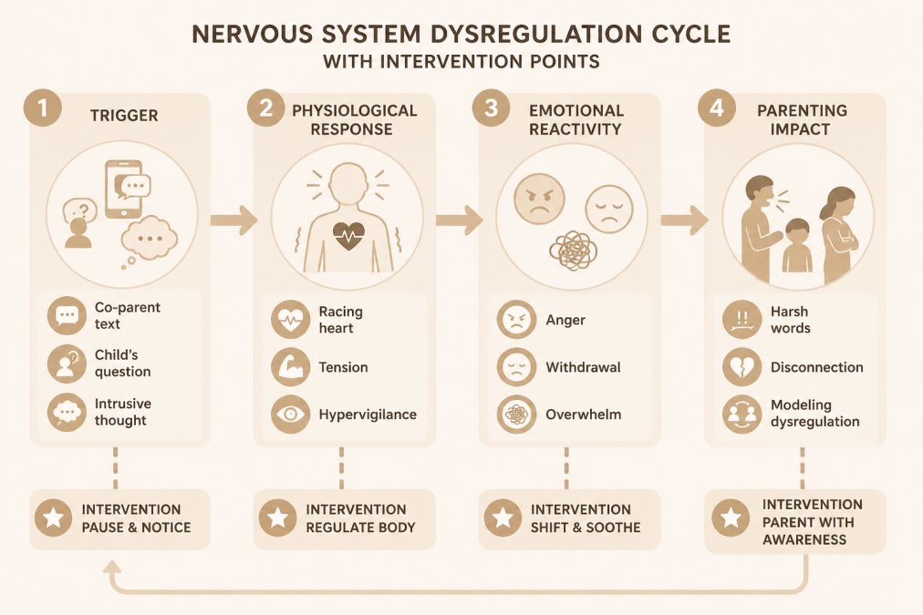 Flowchart showing the nervous system dysregulation cycle: trigger (co-parent text, child's question, intrusive thought) → physiological response (racing heart, tension, hypervigilance) → emotional reactivity (anger, withdrawal, overwhelm) → parenting impact (harsh words, disconnection, modeling dysregulation), with intervention points labeled at each stage