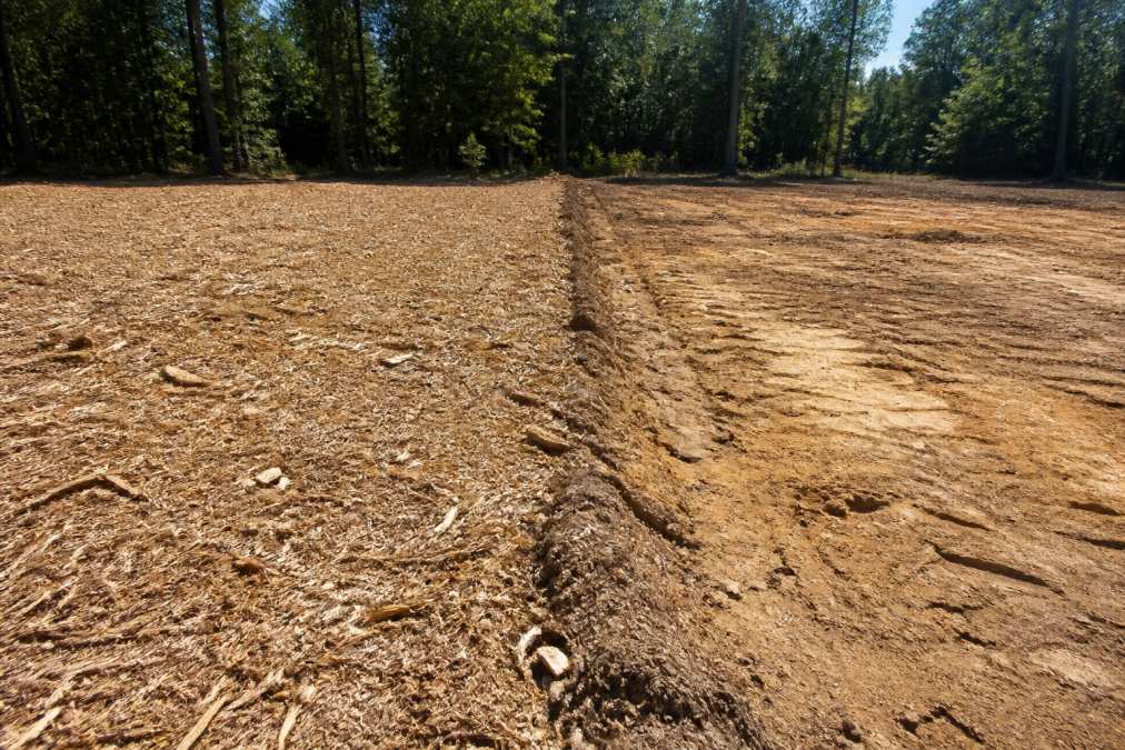 A cleared land area showing two distinct sections side by side: on the left, a smooth surface with intact topsoil and a thin layer of wood mulch from forestry mulching; on the right, bare, scraped, compacted earth with exposed subsoil typical of bulldozer clearing, photographed in afternoon sunlight