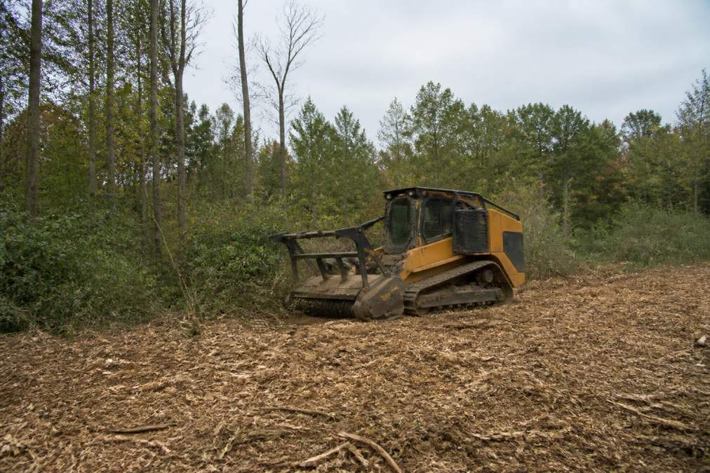 Forestry mulcher clearing brush to reduce the cost of land clearing per acre 2026 on a wooded property