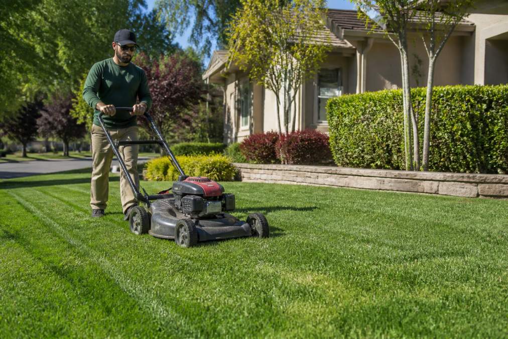 Cost of Professional Lawn Mowing in Elk Grove: 2026 Guide
