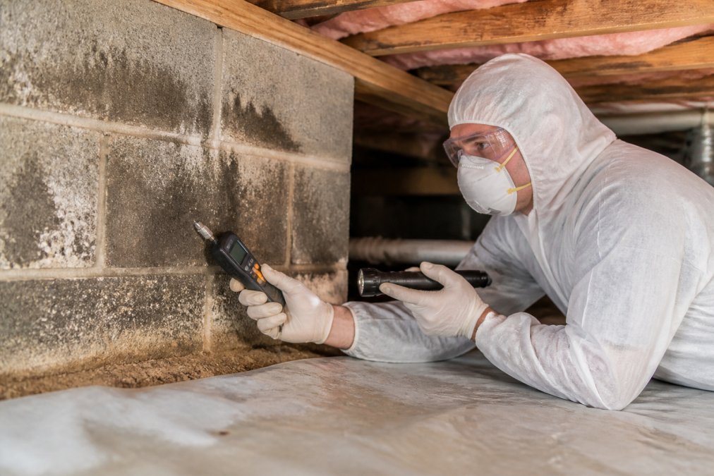 IICRC-certified technician in full protective equipment conducting detailed mold assessment in residential crawlspace using moisture meters and air quality testing equipment, natural lighting from work lamps