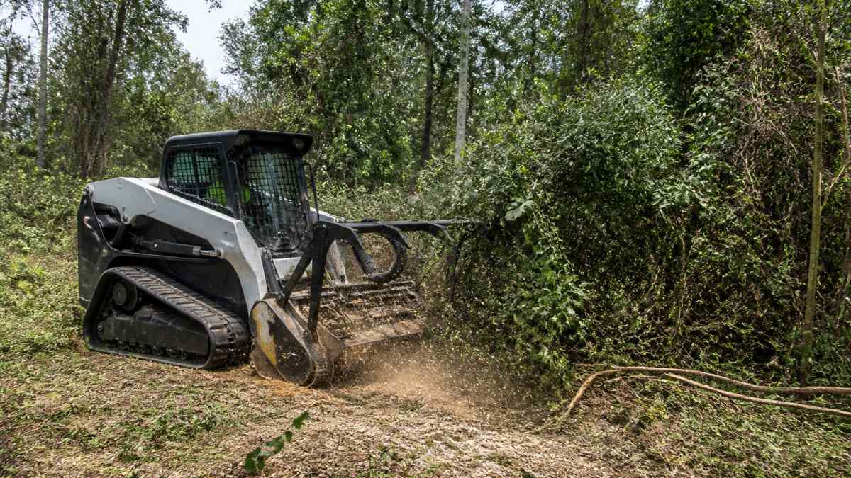 Heavy equipment clearing dense brush and overgrown vegetation from a residential lot, showing thick tree coverage and undergrowth being removed, with machinery actively working through dense overgrowth