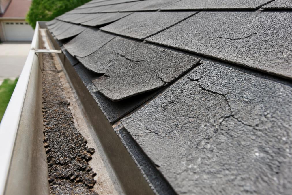 Close-up of an aging asphalt shingle roof in bright daylight showing curling shingle edges, visible granule loss in the gutters, and surface cracking on multiple shingles