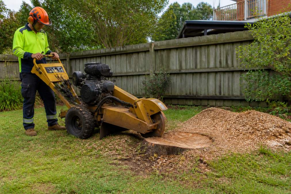 A tree services crew in high-visibility safety gear operating a stump grinder on a residential lawn, with fresh wood chips piled beside a ground-down stump and a suburban backyard fence in the background