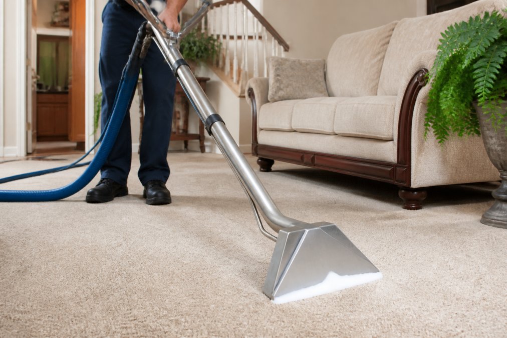 Cost of Whole House Carpet Cleaning: 2026 Guide