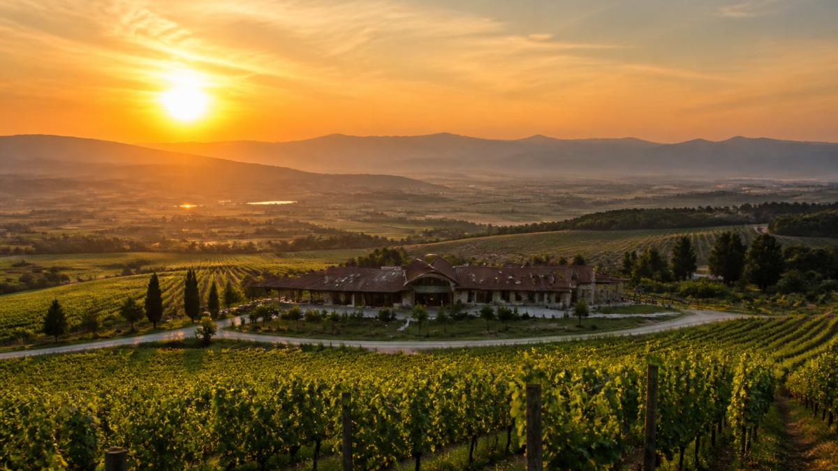Goldener Sonnenuntergang über den weitläufigen Weinbergen und den sanften Hügeln der Region Drama