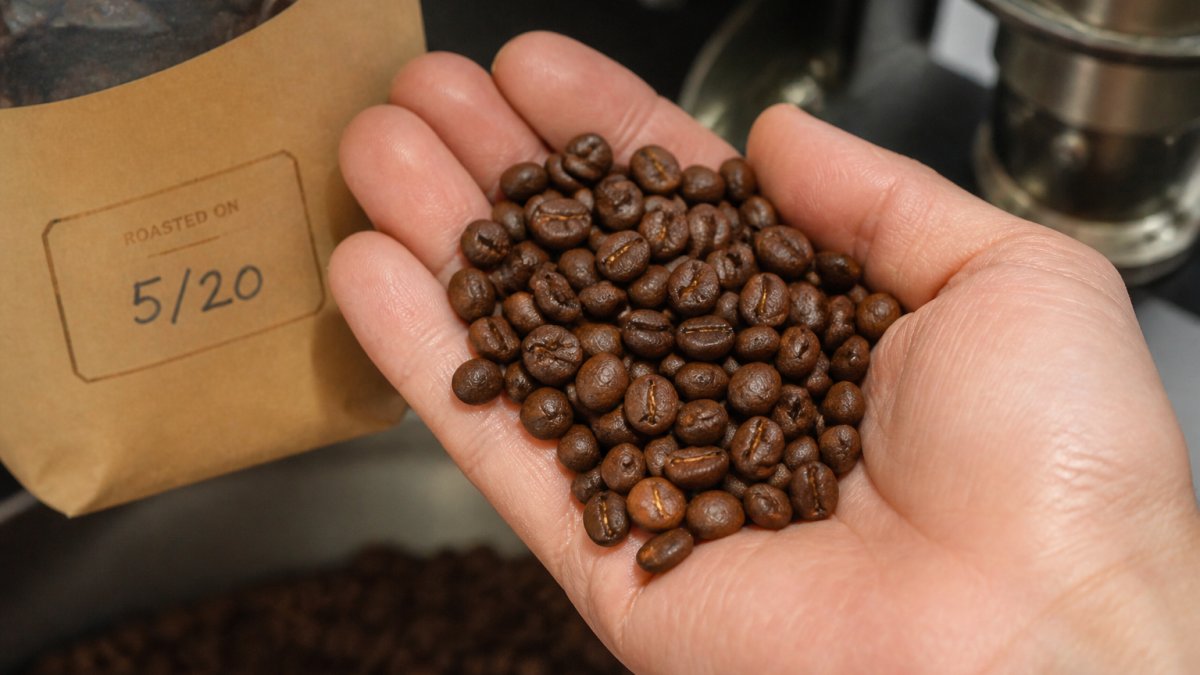 Infographic showing the correlation between roasting dates and coffee bean freshness levels