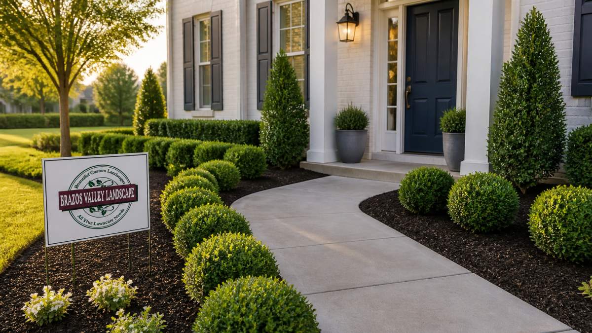A well-maintained front yard with fresh dark mulch, neatly trimmed boxwood shrubs, and a clean concrete walkway leading to a freshly painted front door, photographed in soft morning light