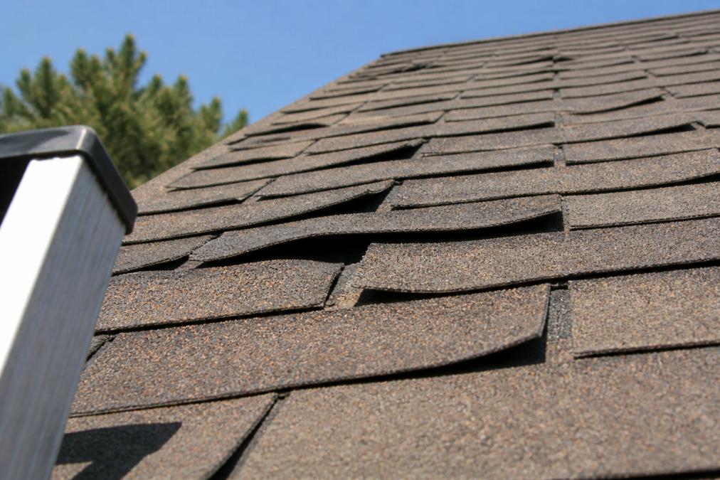 Diagram illustrating the progression of curling asphalt shingles and the resulting roof damage patterns.