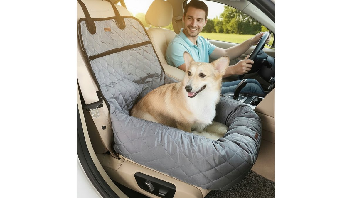 Cushioned Pet Car Bed