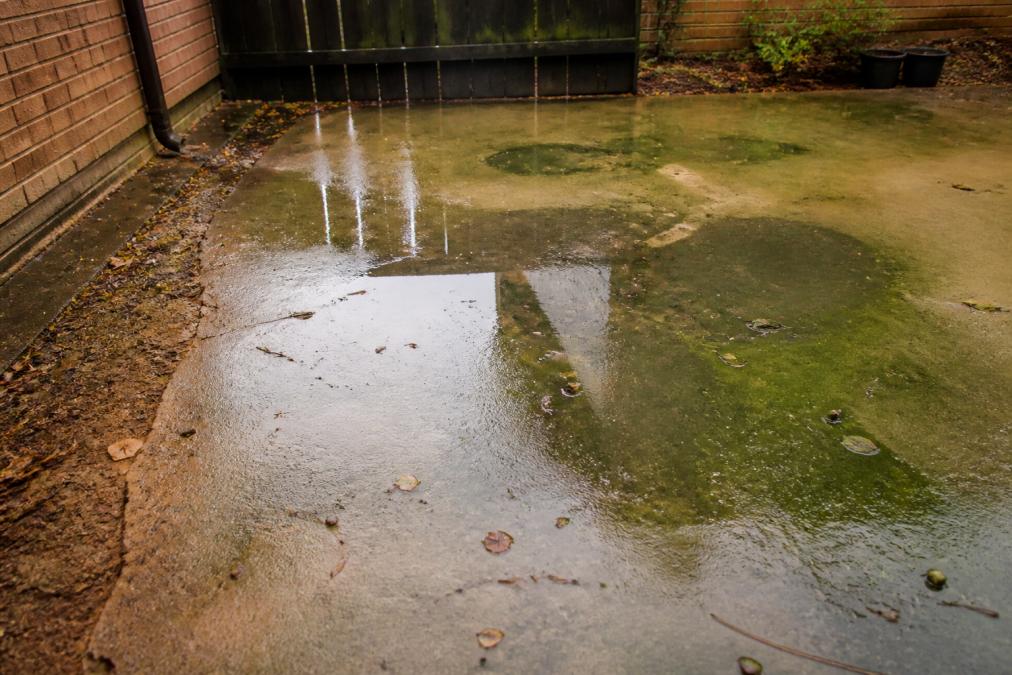 Residential patio in McAllen with visible standing water pooling on concrete surface after rain, algae growth and water staining visible on the pavement, clay soil visible at edges