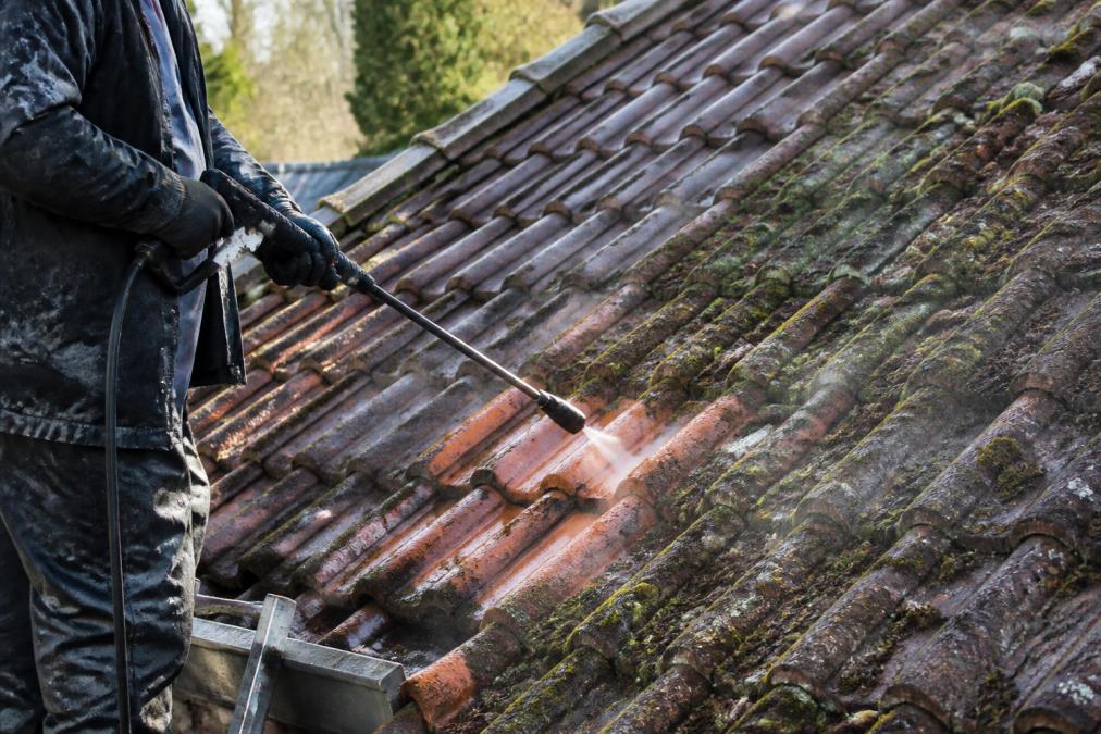 Dak Ontmossen in Antwerpen: Zelf Doen of Laten Doen?