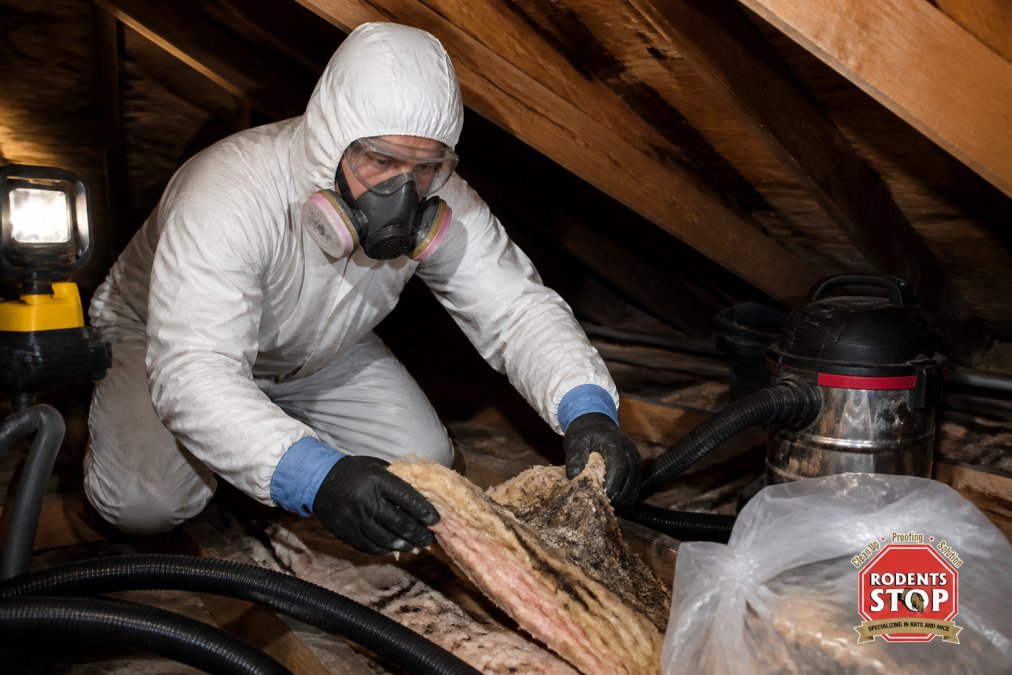 Professional wearing full personal protective equipment including NIOSH-rated respirator mask, double-layer gloves, protective suit covering entire body, and shoe covers while carefully removing contaminated insulation from attic with HEPA-filtered equipment in controlled lighting